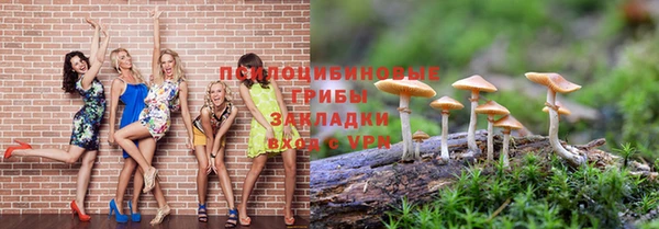 гидропоника Абинск